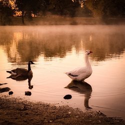 Sam Peden Community Park - Views from the Lake Side .