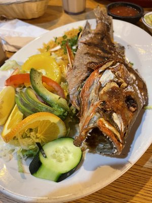 Azteca Mexican Restaurant by null