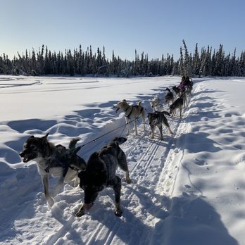 Paws For Adventure - Tours Near Me Paws For Adventure - Tours Near Me
