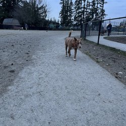 Summit Dog Park