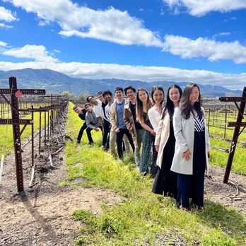 Round Pond Estate - Wineries Near Me - Rutherford, California Round Pond Estate - Wineries Near Me - Rutherford, California