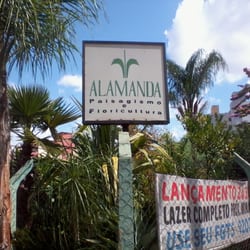 Alamanda Paisagismo Floricultura