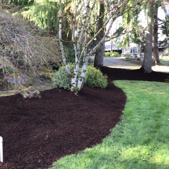Cascade Land and Tree - Lawn care planted trees and trimmed bushes plus mulch makes for a beautiful landscape :) - Landscaping Near Me Cascade Land and Tree - Lawn care planted trees and trimmed bushes plus mulch makes for a beautiful landscape :) - Landscaping Near Me