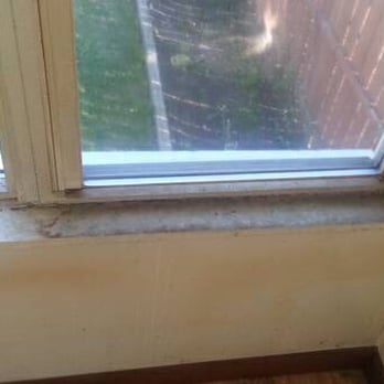 Ana Paula Ramos - Home Cleaning Near Me