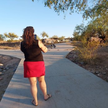 Salt River Tubing - Rafting/Kayaking Near Me - Mesa, Arizona