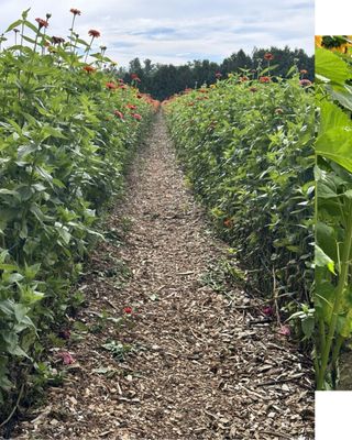 Parlee Farms by null