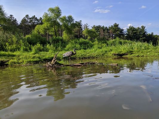 Kayak Pittsburgh North Park by null