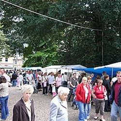 Alford Craft market