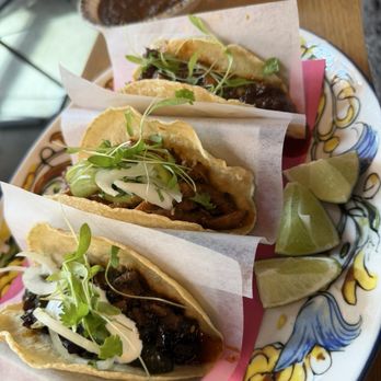 Oyamel - Mexican Near Me - New York, New York