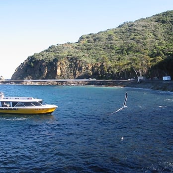 Glass Bottom Boat Tour - Boat Tours Near Me - Avalon, California
