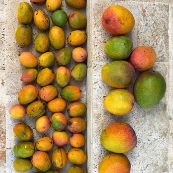 Lucky Records - They have mangos sometimes - Music & DVDs Near Me - Miami, Florida