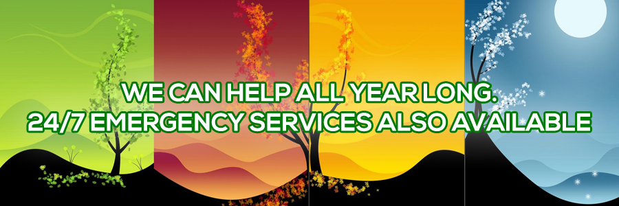 Slide of Dempsey Energy