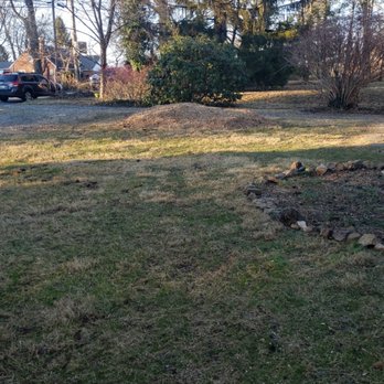 Expert Tree - Tree removed with stump ground out - Tree Services Near Me - Ashton, Maryland