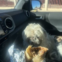 The pups are jealous, but I am not sharing. The carnitas is so crisp and juicy and flavorful. Perfect burrito. The pups are jealous, but I am not sharing. The carnitas is so crisp and juicy and flavorful. Perfect burrito.