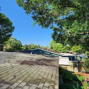 Oakleaf Tree Services - Tree Services Near Me - Oviedo, Florida