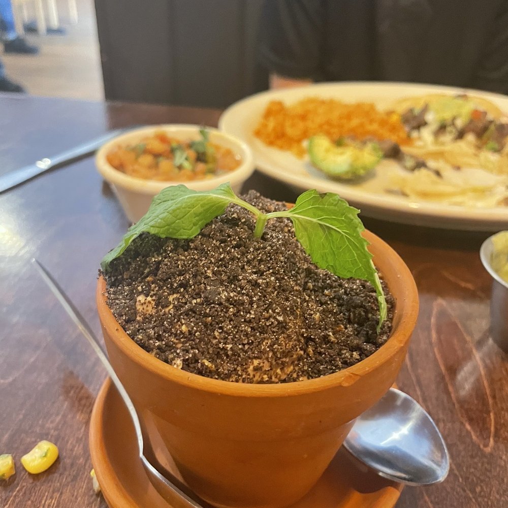 Nopal - Mexican Near Me - Gainesville, Florida