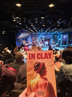 Signature Theatre by null