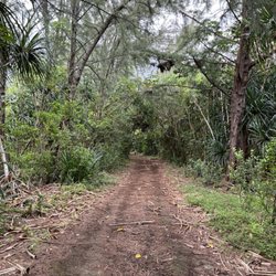 Ahupuaʻa o Kahana State Park - Paved trail to water tower.
