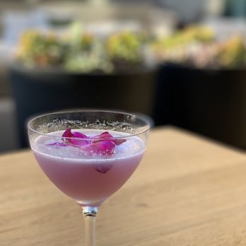 Oak + Violet - Southside: Junipero gin, lime, butterfly tea syrup, mint, sea salt | $14 - New American Near Me - Menlo Park, California Oak + Violet - Southside: Junipero gin, lime, butterfly tea syrup, mint, sea salt | $14 - New American Near Me - Menlo Park, California