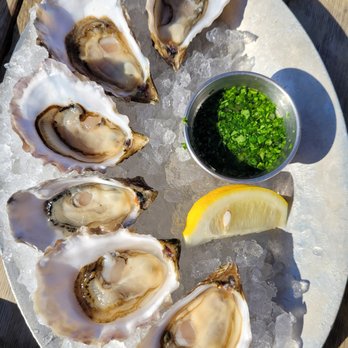 Hog Island Oyster - Oysters with dredge - Seafood Near Me - Marshall, California Hog Island Oyster - Oysters with dredge - Seafood Near Me - Marshall, California