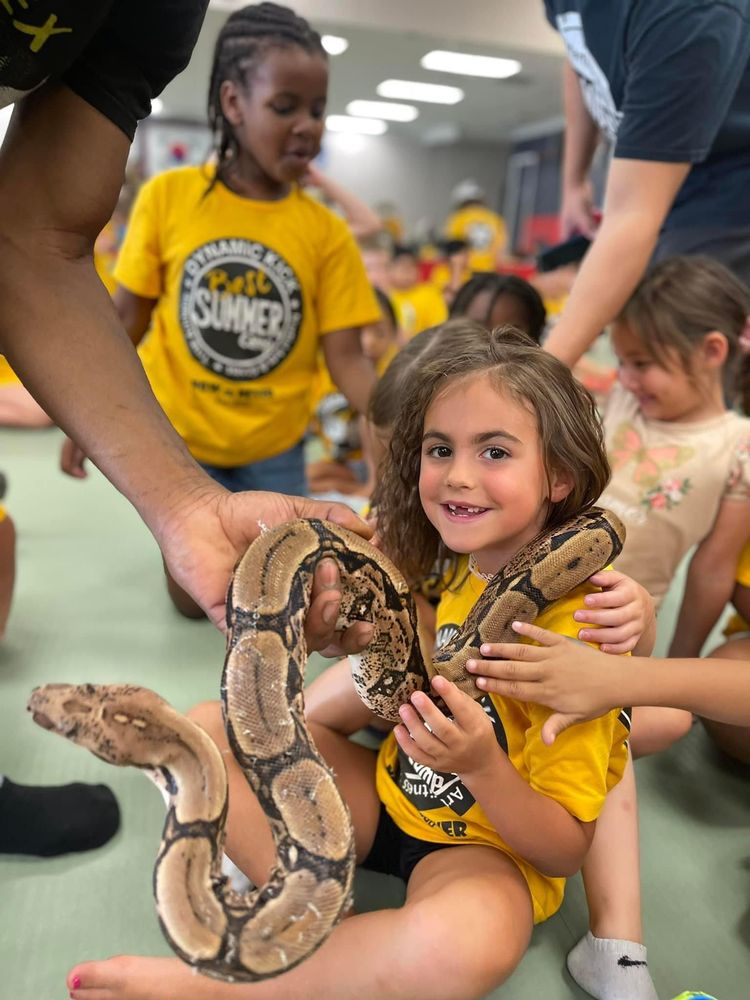 REX EXOTIC Updated September 2024 17 Photos Centreville