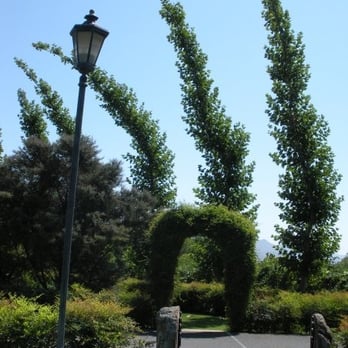 Peju Winery - Wine Tasting Room Near Me - Rutherford, California
