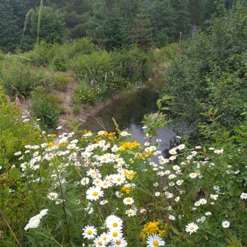 Gold Creek Sno-Park - Gold Creek Trail! - Landmarks & Historical Buildings Near Me - Hyak, Washington