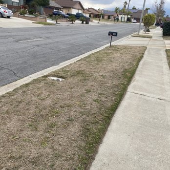 Simple Lawn Service - Lawn Services Near Me Simple Lawn Service - Lawn Services Near Me