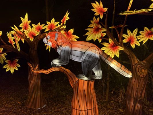 Mounts Botanical Garden by null