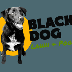 Black Dog Lawn & Pools