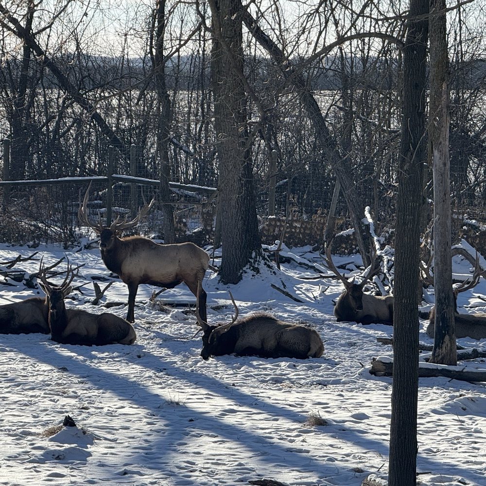 Shalom Wildlife Sanctuary - Parks Near Me - West Bend, Wisconsin