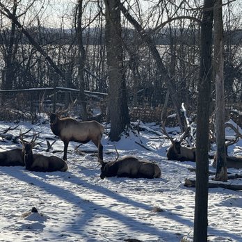 Shalom Wildlife Sanctuary - Parks Near Me - West Bend, Wisconsin