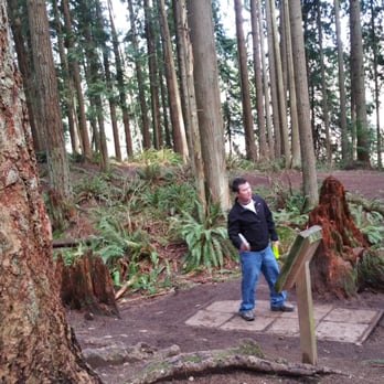 Lake Stevens Disc Golf Course - Well kept grounds with clear set course areas. - Disc Golf Near Me - Lake Stevens, Washington Lake Stevens Disc Golf Course - Well kept grounds with clear set course areas. - Disc Golf Near Me - Lake Stevens, Washington