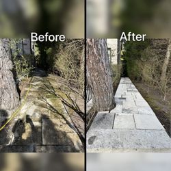DT Cleaning - Power washing service
