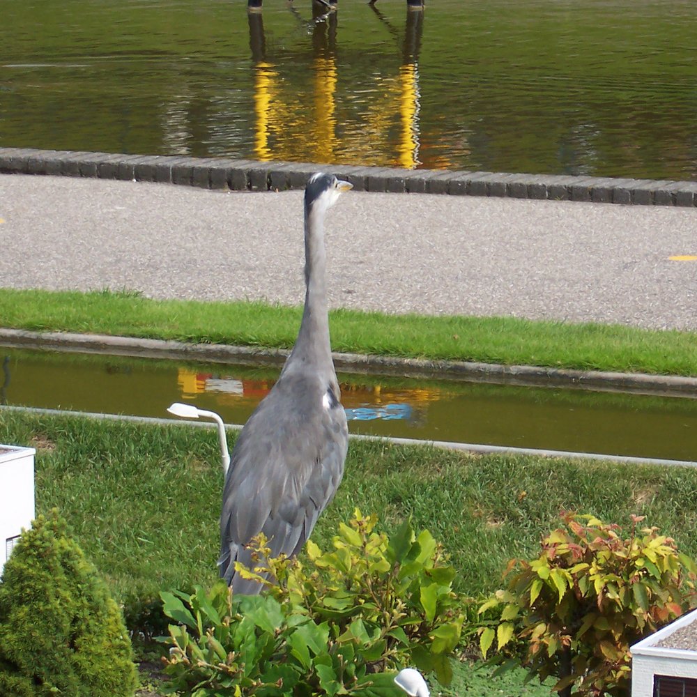 Madurodam - Amusement Parks Near Me - Den Haag, ZH Madurodam - Amusement Parks Near Me - Den Haag, ZH