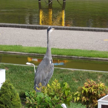 Madurodam - Amusement Parks Near Me - Den Haag, ZH Madurodam - Amusement Parks Near Me - Den Haag, ZH