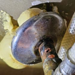 BCI Services & Support