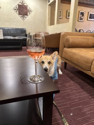 San Pasqual Winery Tasting Room & Gallery by null