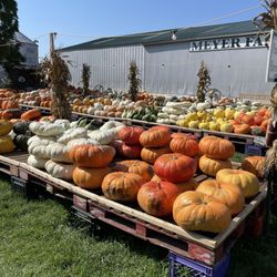 Meyer Family Farm Vegetable Stand