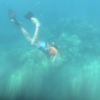 Kauai Sea Tours - Snorkeling the Nā Pali Coast - Boating Near Me - Eleele, Hawaii