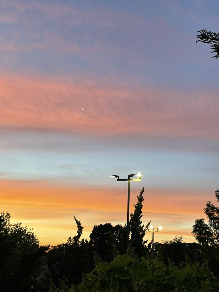 MASTER HOMEMADE DONUTS 67 Photos & 102 Reviews 1745 Main St, West