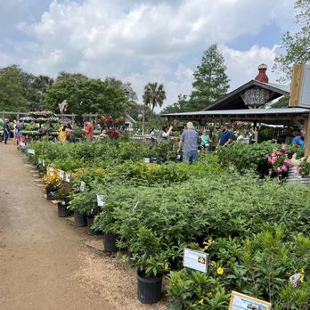 Enchanted Gardens - Nurseries & Gardening Near Me - Richmond, Texas
