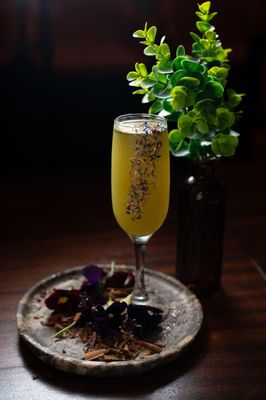 The Newsroom Philly by null