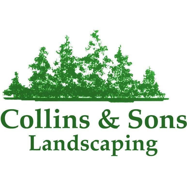 COLLINS AND SONS LANDSCAPING Updated September 2024 Scarborough