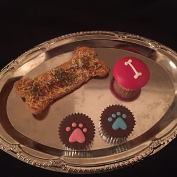 Redondo Dog - For the birthday boy and his older brother and sister - Pet Services Near Me - Carson, California
