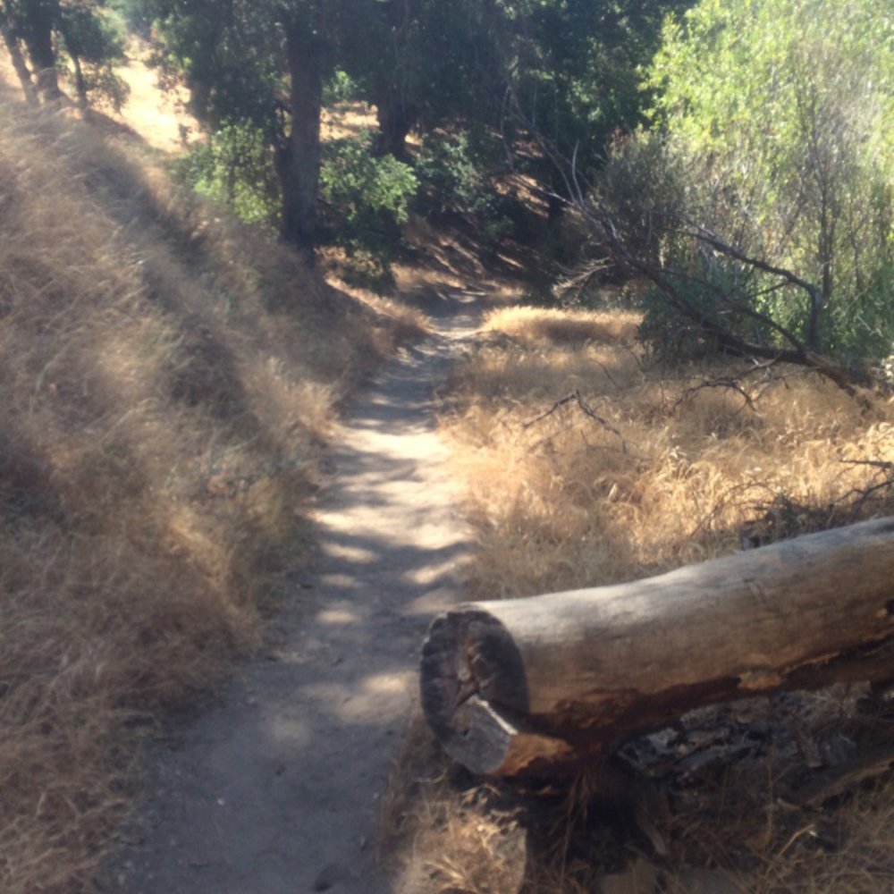 Elsmere Canyon - Hiking Near Me - Santa Clarita, California