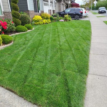 A Living Art Landscaping - Landscaping Near Me