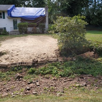 Z Tree Experts - Afterwards - Tree Services Near Me - Montclair, New Jersey Z Tree Experts - Afterwards - Tree Services Near Me - Montclair, New Jersey