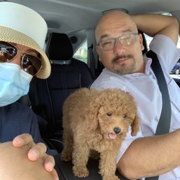 Pali's very first vet appointment