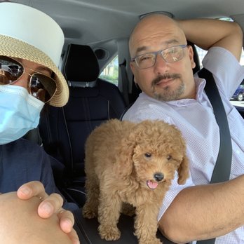 Healthy Pets Veterinary Care - Pali's very first vet appointment - Pet Groomers Near Me - Boca Raton, Florida